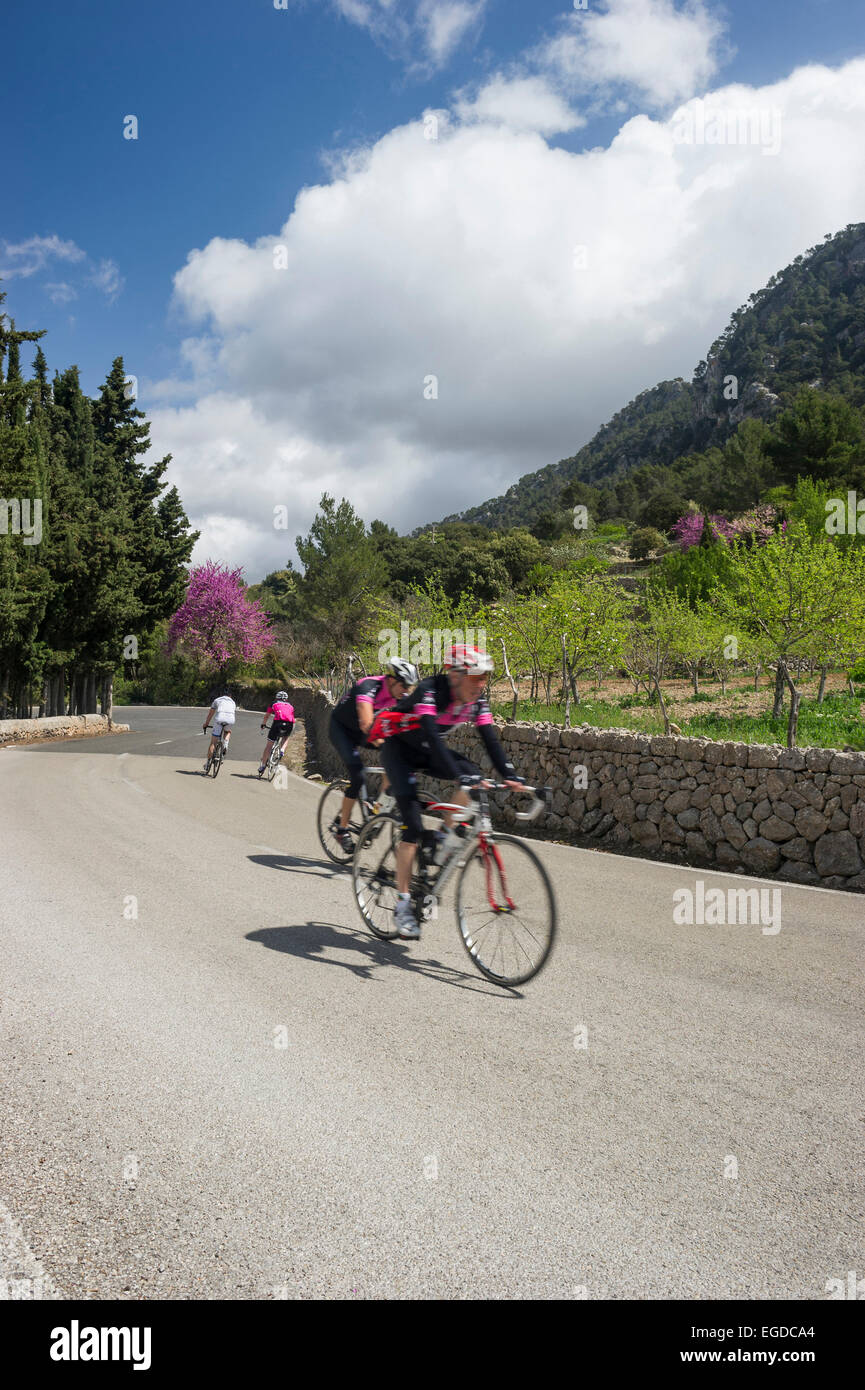 Cyclists at Col de Soller, Soller, Majorca, Spain Stock Photo