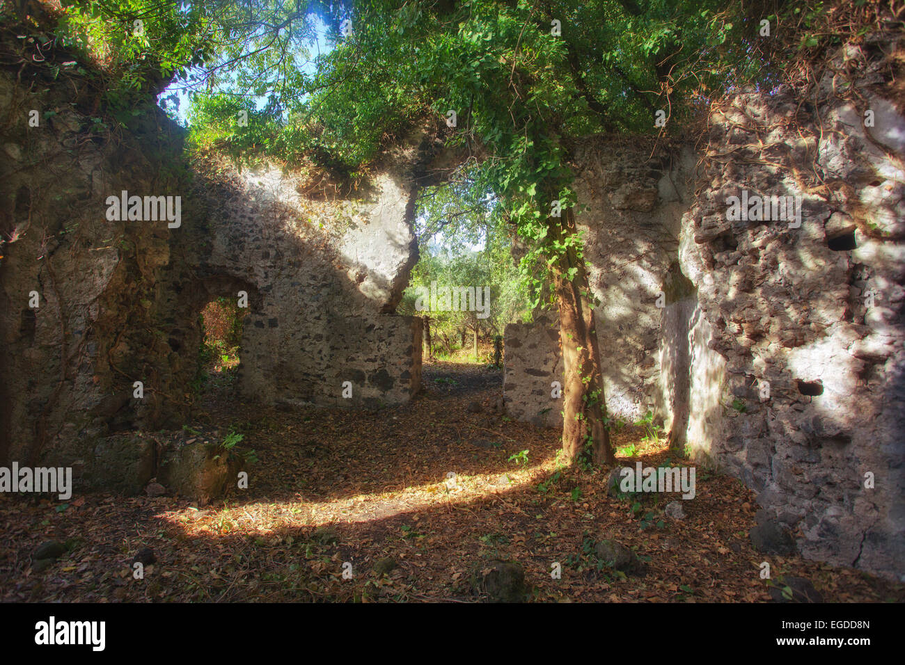 Dagala Del Re Santa Venerina Catania