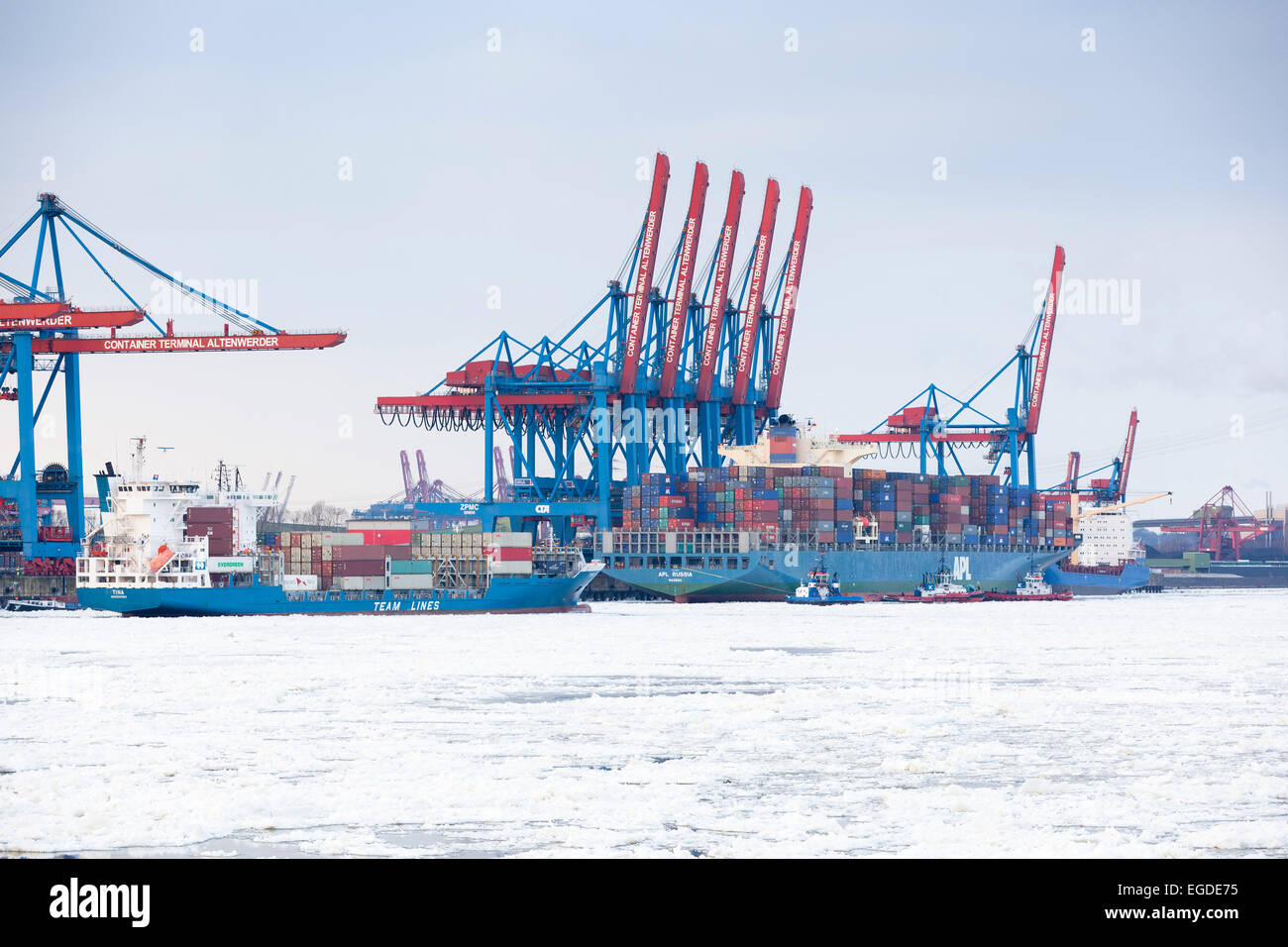 Container ship in front of a container bridge in winter, Altenwerder, Hamburg, Germany Stock Photo