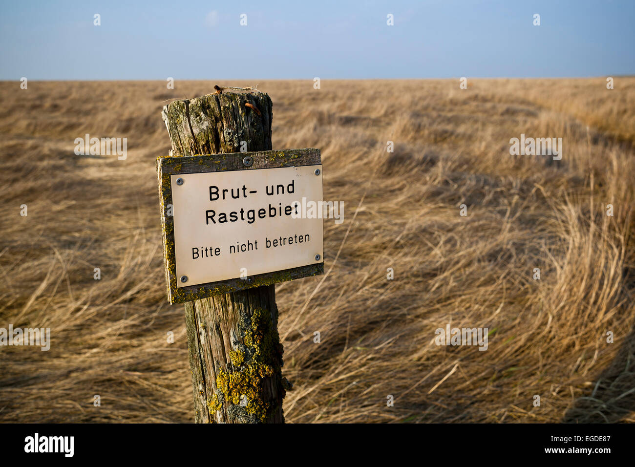 Breeding area hi-res stock photography and images - Alamy