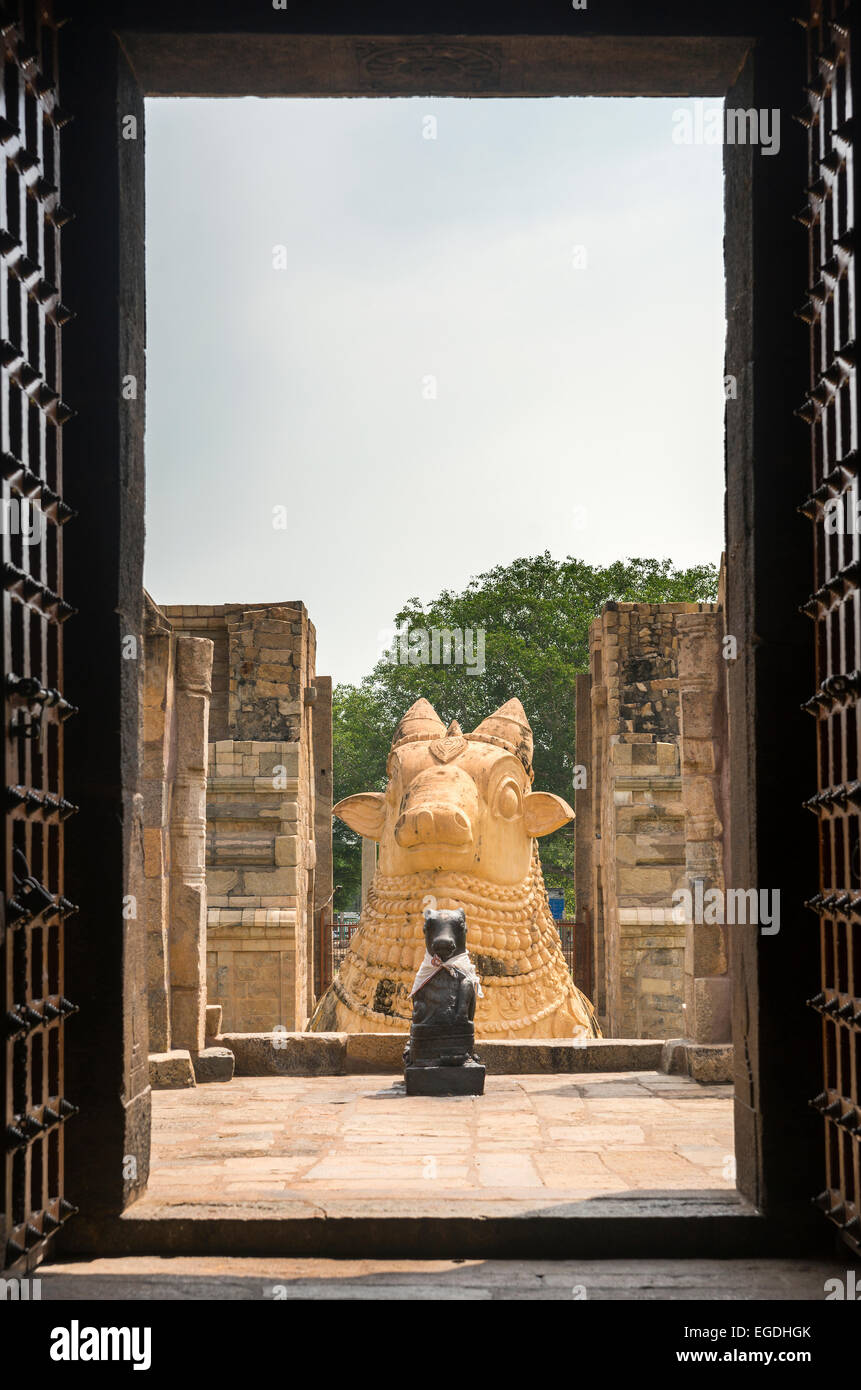 The two Nandi statues seen from inside Gangaikunda Temple. Stock Photo