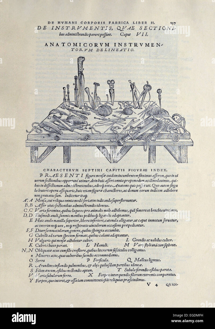 Surgical instruments used in the dissection of cadavers to understand human anatomy. From 'De humani corporis fabrica libri septem' by Andreas Vesalius (1514-1564) published in 1543. See description for more information. Stock Photo