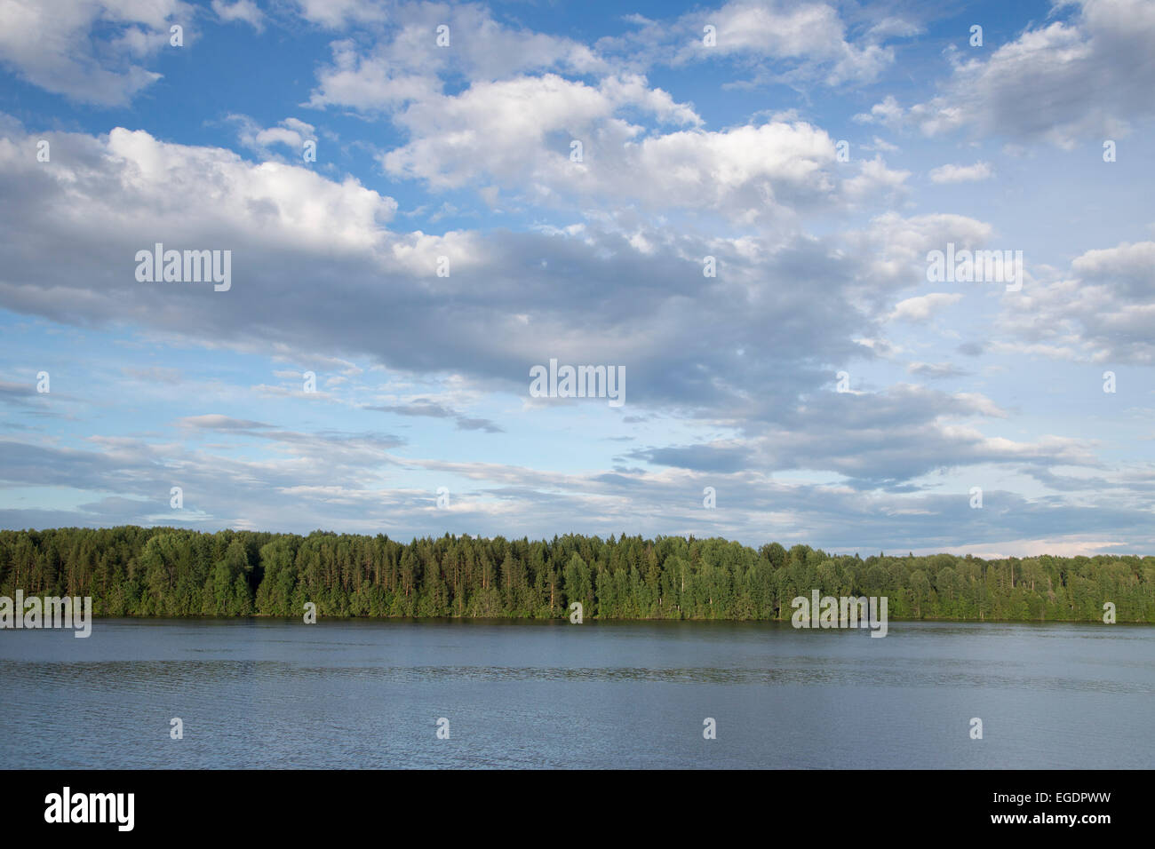 Forest along the banks of the Sheksna river, Volga-Baltic Canal, Russia, Europe Stock Photo