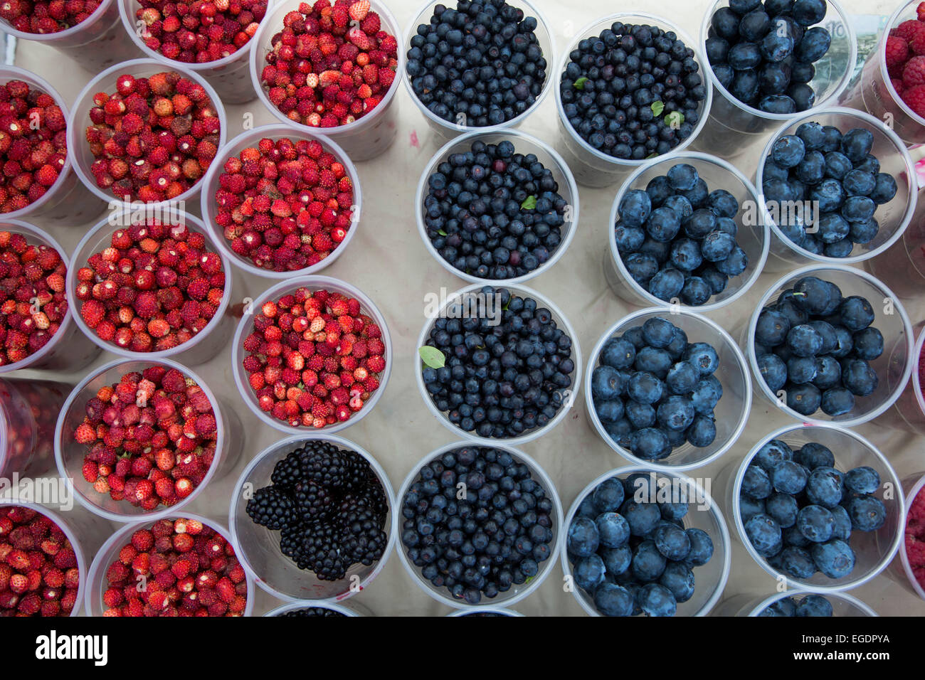 Life is full of berries hires stock photography and images Alamy