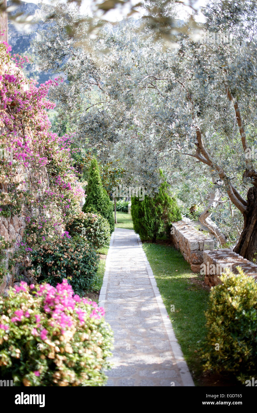Garden of a hotel, Deia, Majorca, Spain Stock Photo