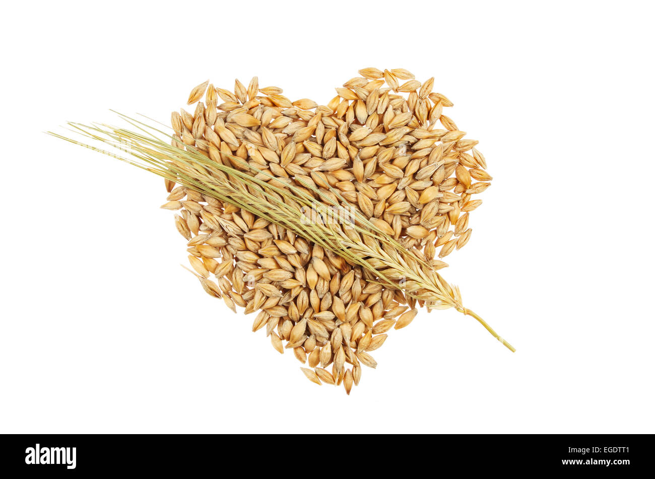 Grains of barley in the shape of a heart overlaid by an ear of barley in the manner of a Cupid’s heart isolated on white Stock Photo
