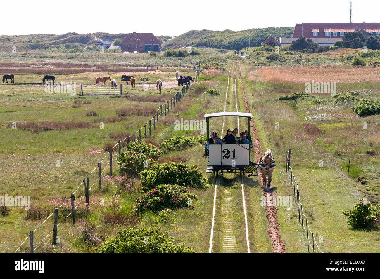 Horse drawn train, Spiegeroog Island, Nationalpark, North Sea, East Frisian Islands, East Frisia, Lower Saxony, Germany, Europe Stock Photo