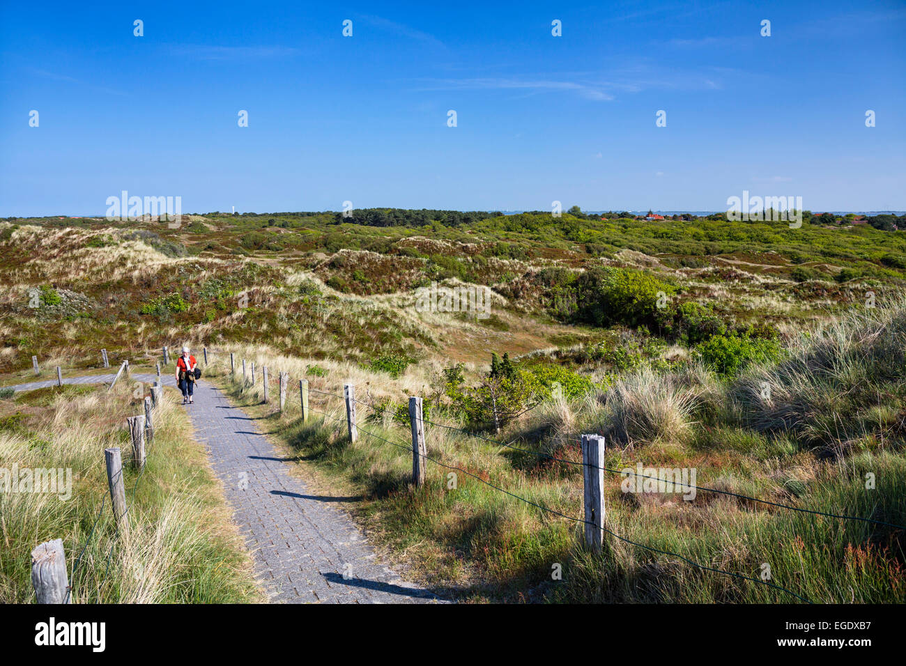 Trail in the dunes, Spiekeroog Island, National Park, North Sea, East Frisian Islands, East Frisia, Lower Saxony, Germany, Europe Stock Photo