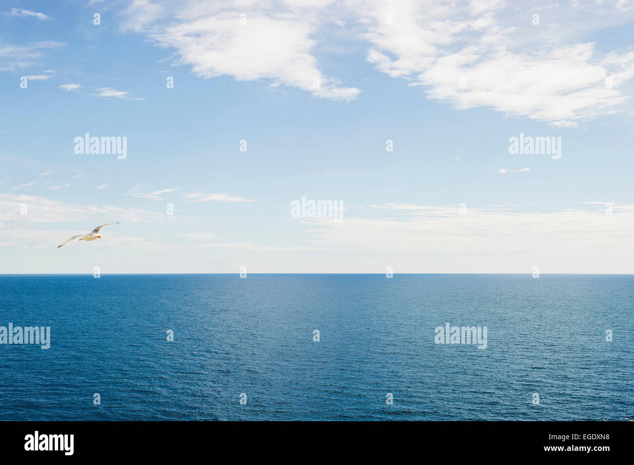 Ozean and seagull near L´Escala, Costa Brava, Costa Brava, Spain Stock Photo