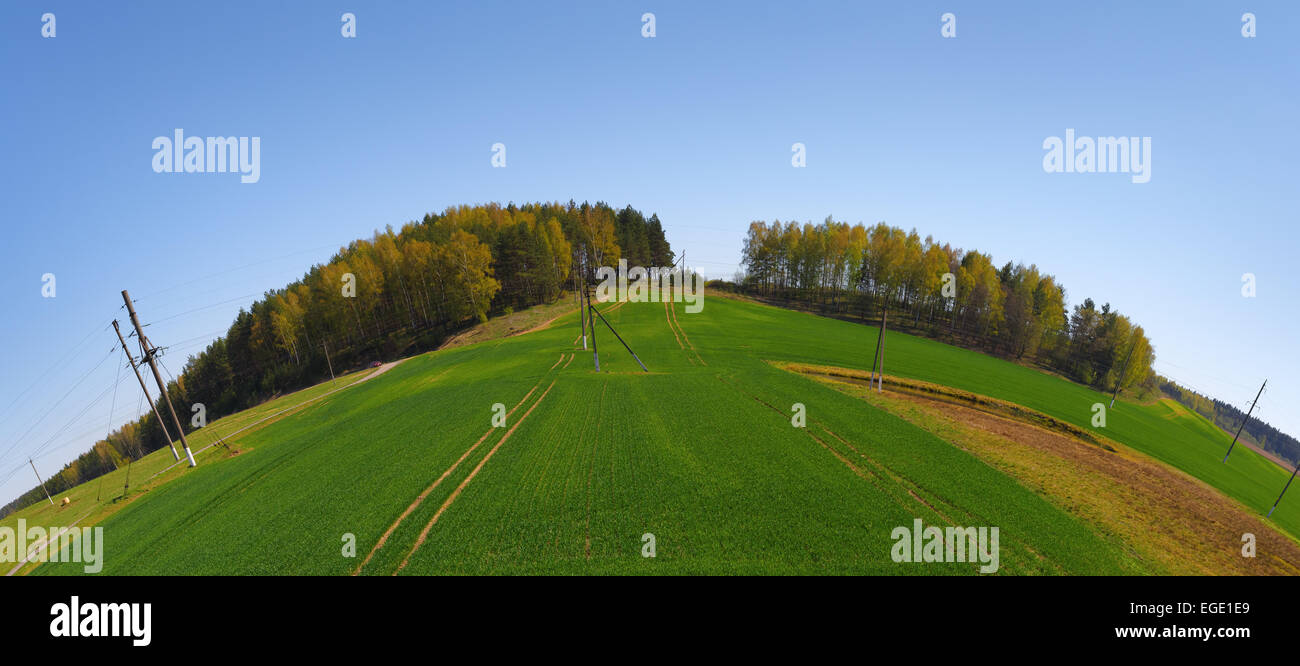Landscape with blue sky, green field and forest on the horizon. Fish-eye effect. Stock Photo