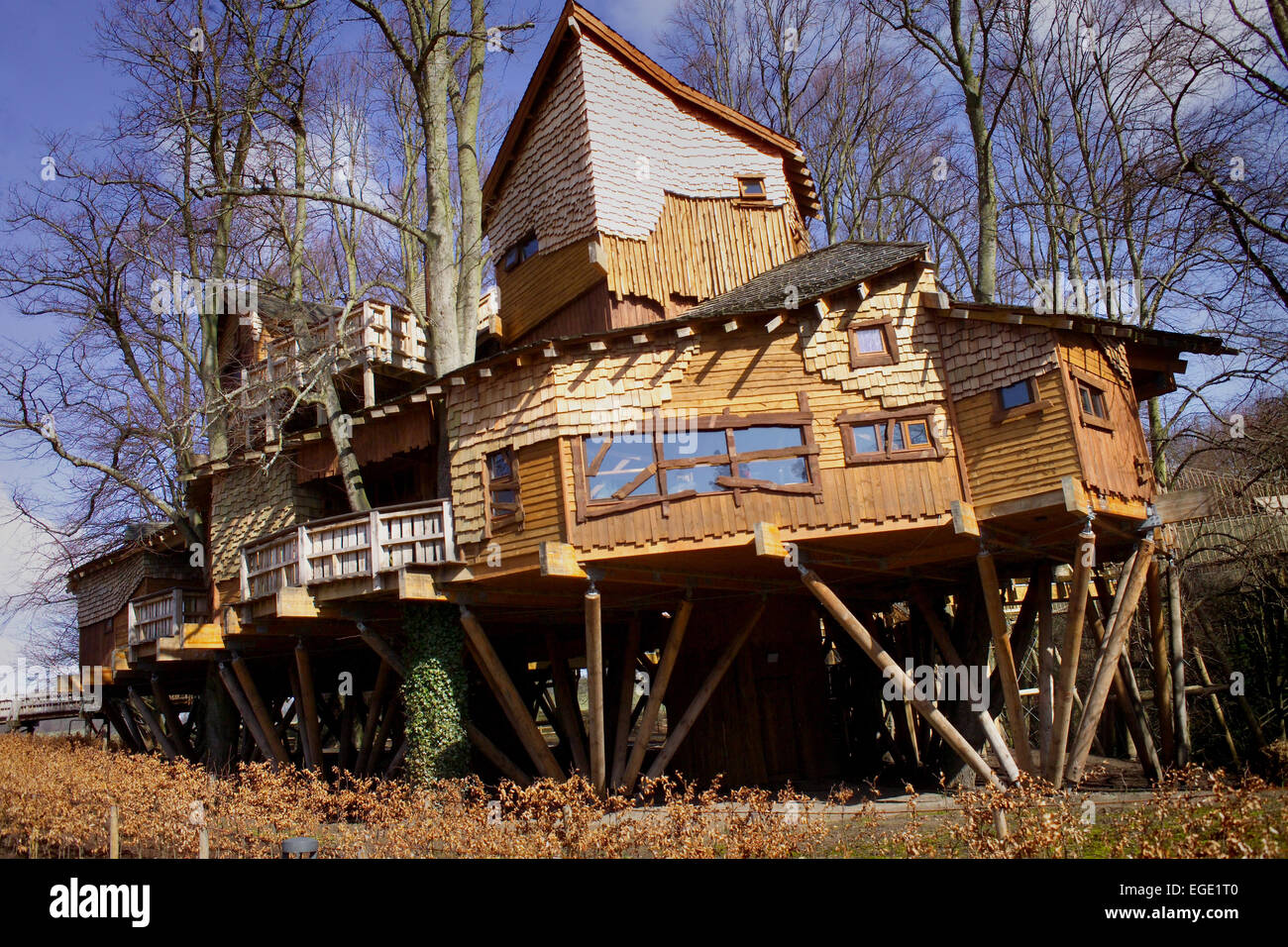 The tree house at Alnwick Gardens, Northumberland Stock Photo Alamy
