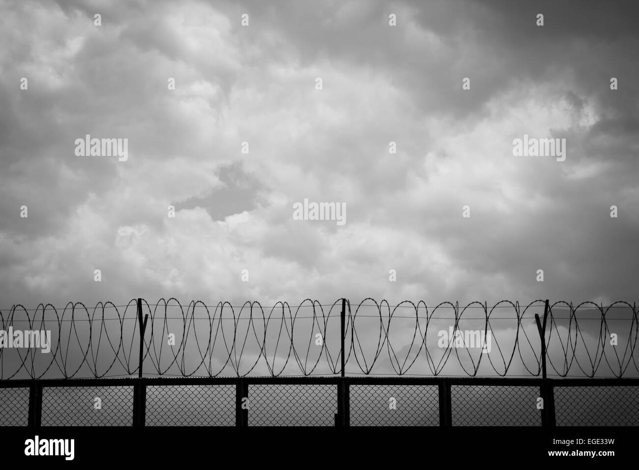 Prison barbed wire razor Black and White Stock Photos & Images - Alamy