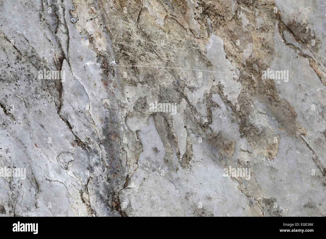 Surface of weathered stone for the background. Stock Photo