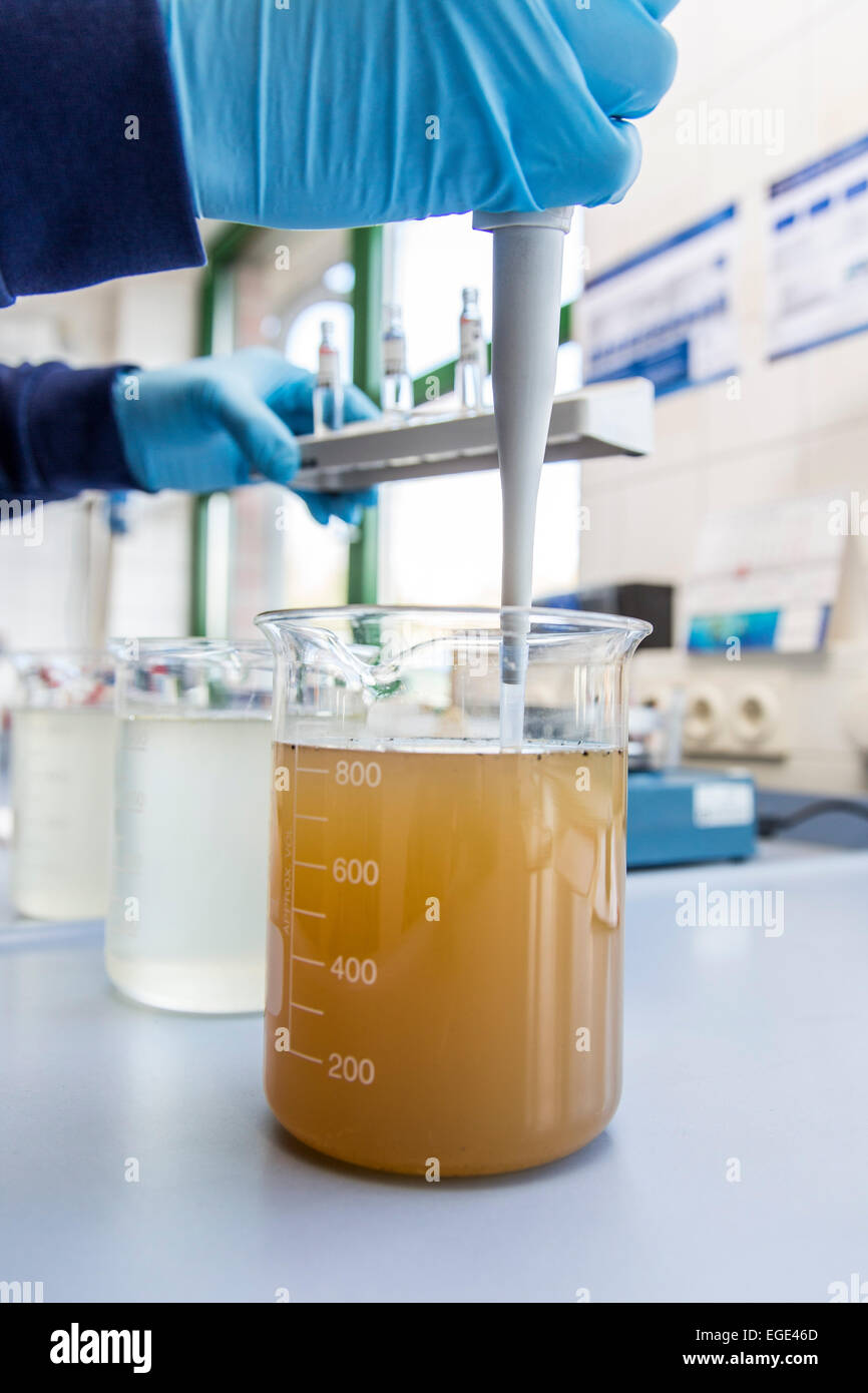 Sewage plant, waste water purification, water sampling for a laboratory