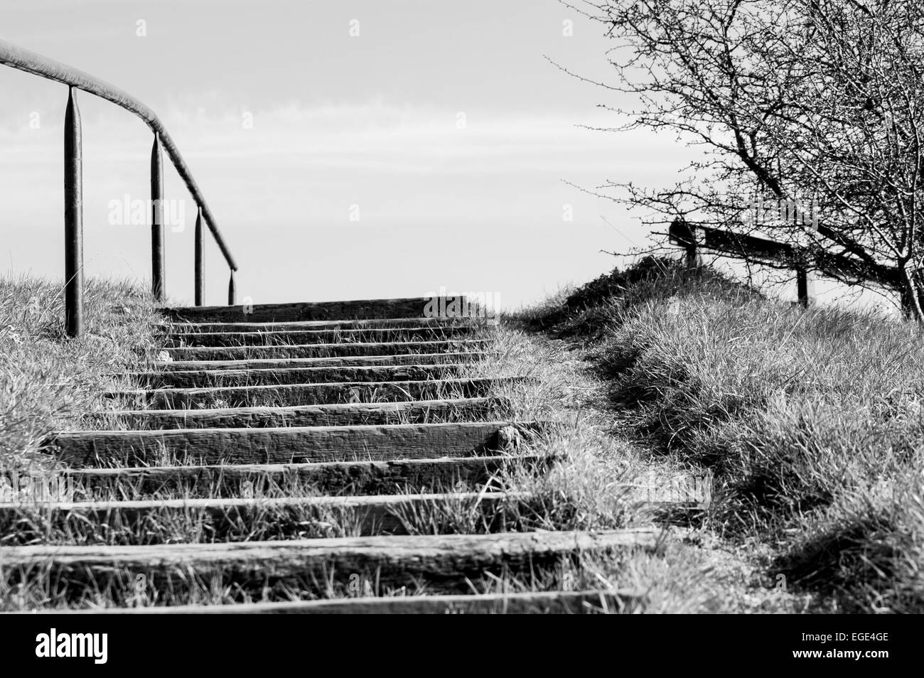 Steps Leading up a hill Stock Photo