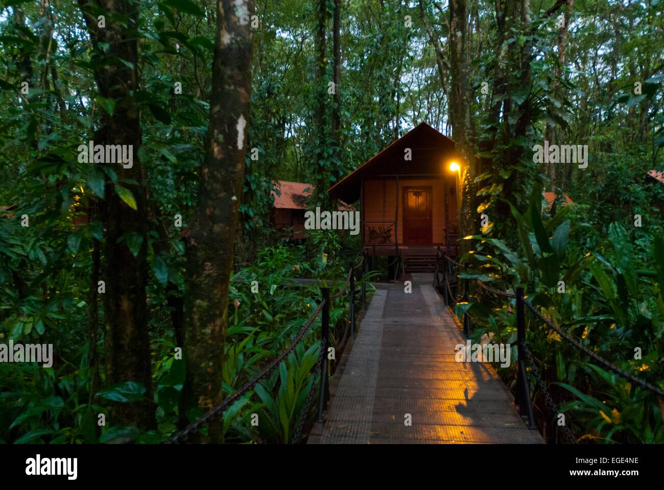 Costa Rica. National park of Tortuguero, Evergreen lodge bungalow in jungle Stock Photo