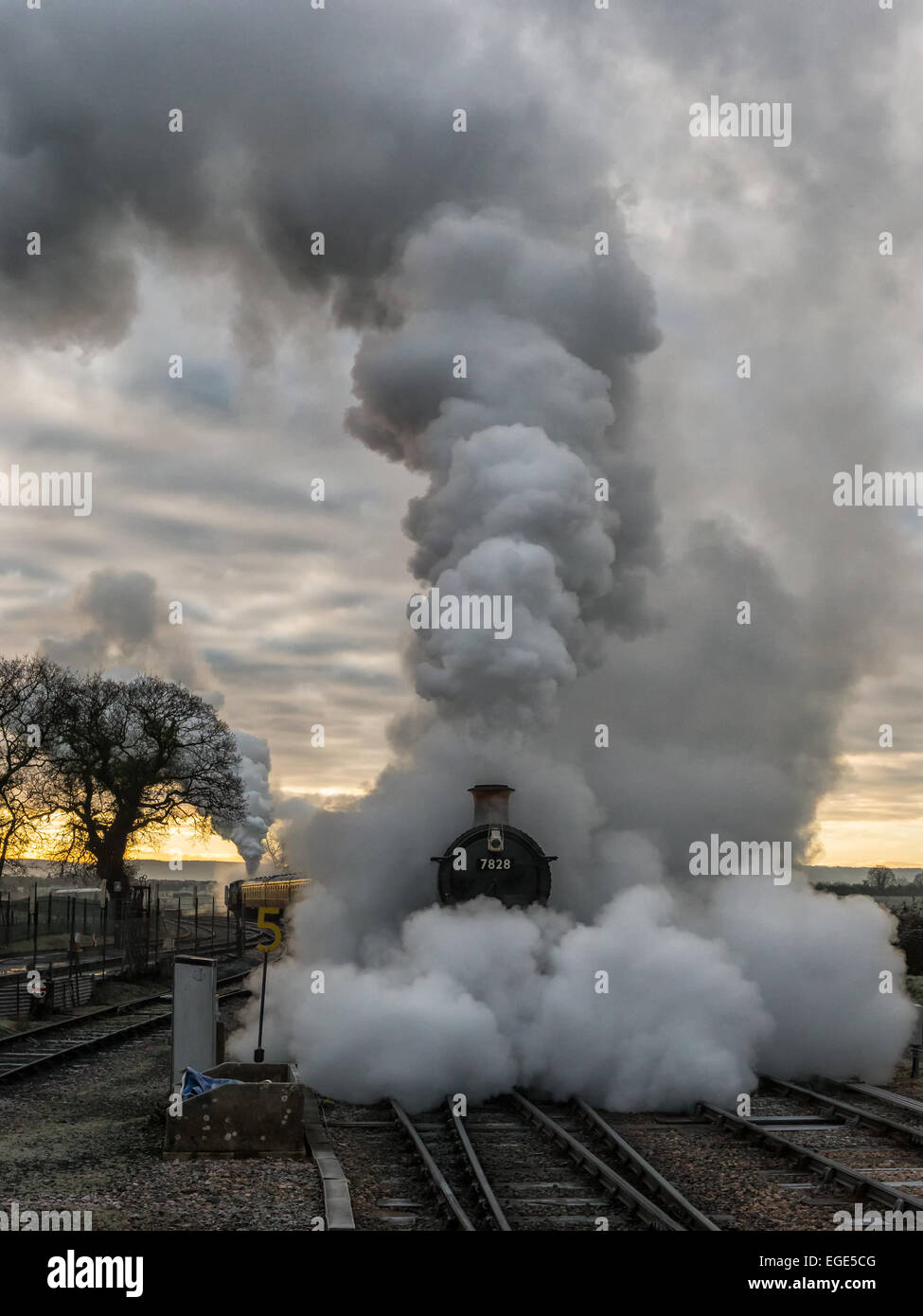 First light on a frosty morning at Bishops Lydeard station and 7828 GWR Odney Manor emerges from a cloud of steam and smoke. Stock Photo