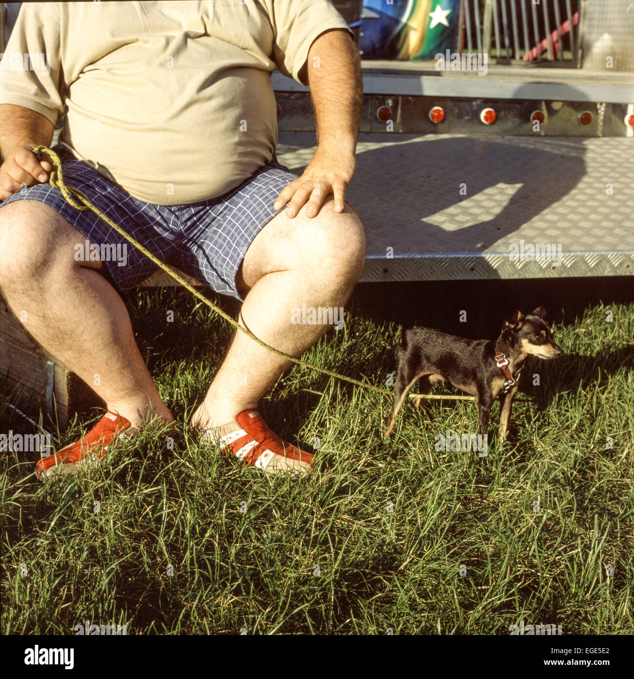 Man with a dog, Prague Ratter pet Stock Photo