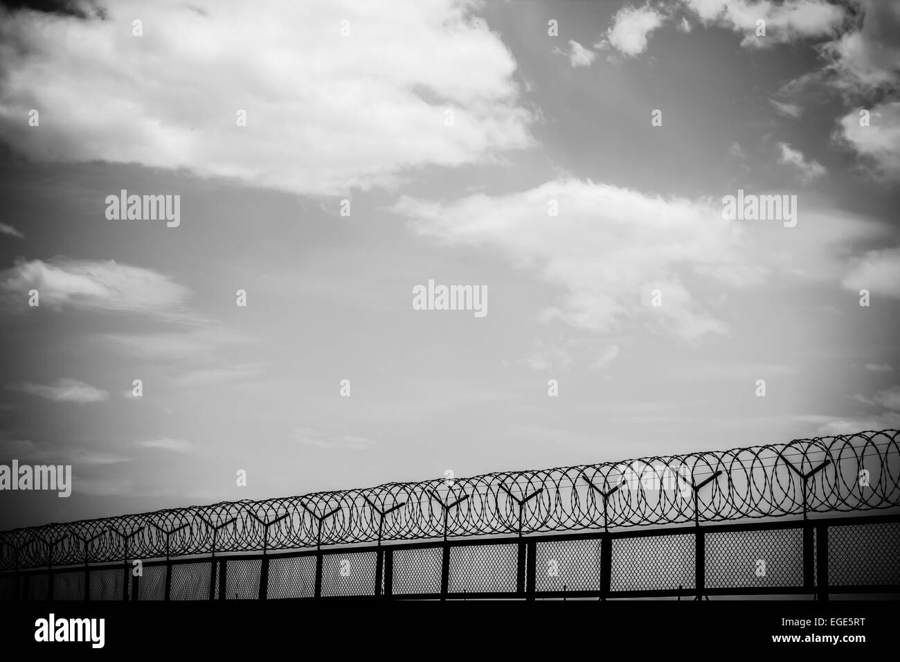 Barrier of razor wire Black and White Stock Photos & Images - Alamy
