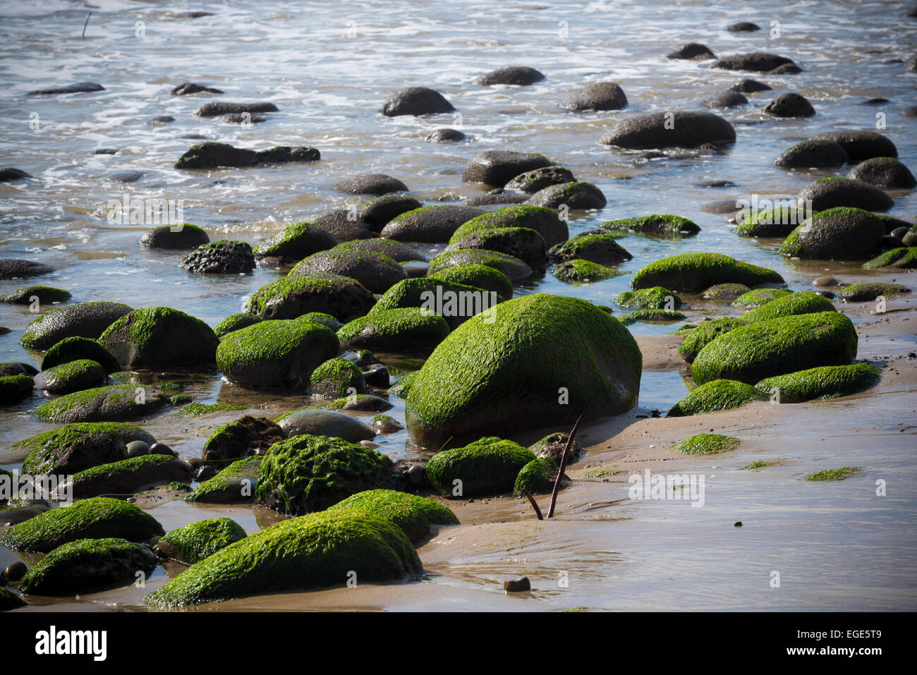 A seascape with moss covered rock on California coast Stock Photo - Alamy