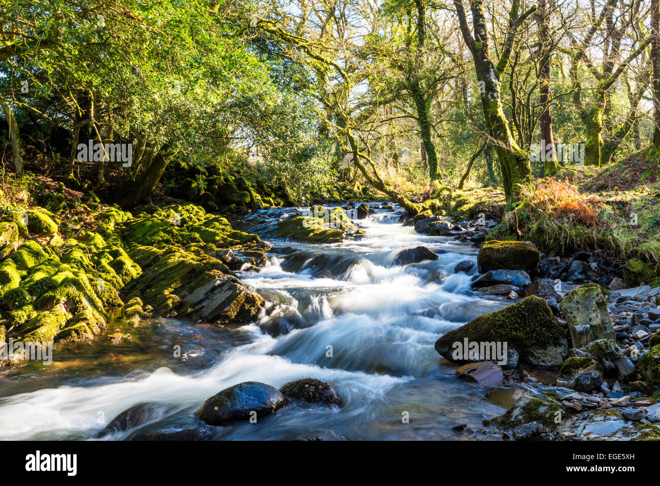 A river in motion - East Okement River, Devon, UK, along the Tarka