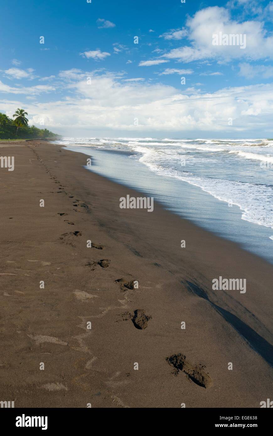 Costa Rica National Park Of Tortuguero Beach On Caribbean