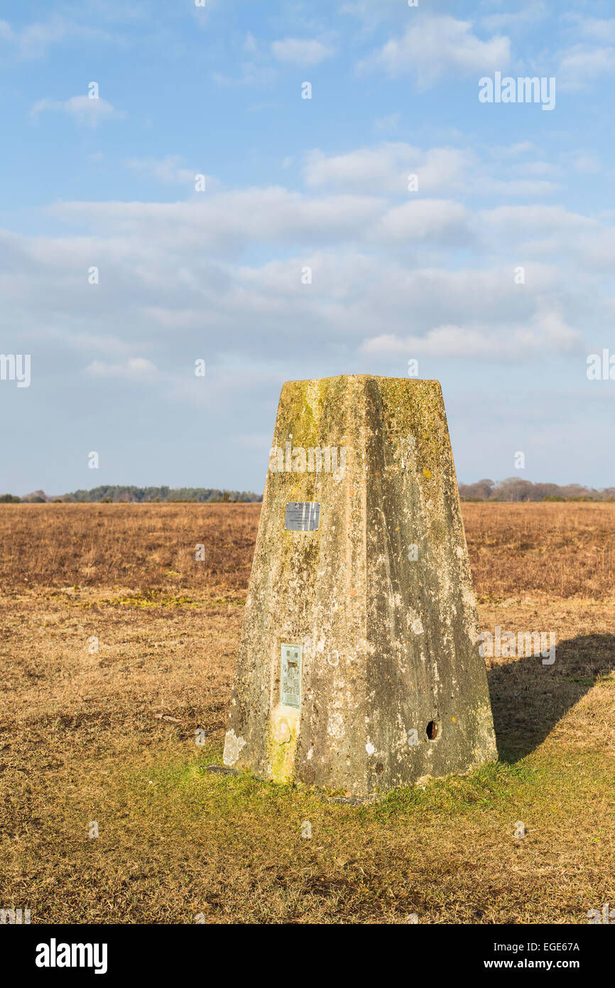 A concrete trig point on the open heath of the New Forest National Park in the UK. A place to find your position on a map. Stock Photo