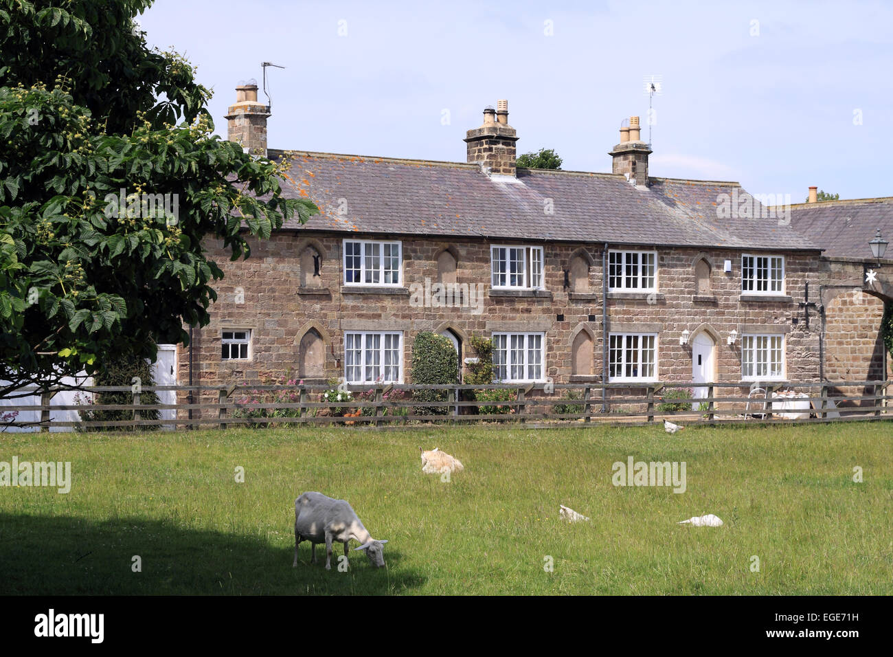 Row of stone cottages in the estate village of Ripley / Ripley / North