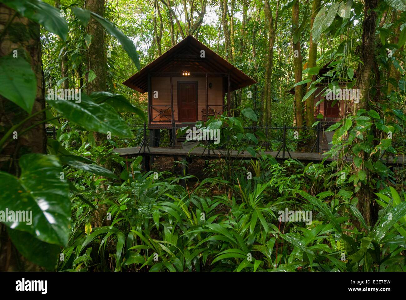Costa Rica. National park of Tortuguero, Evergreen lodge bungalow in jungle Stock Photo