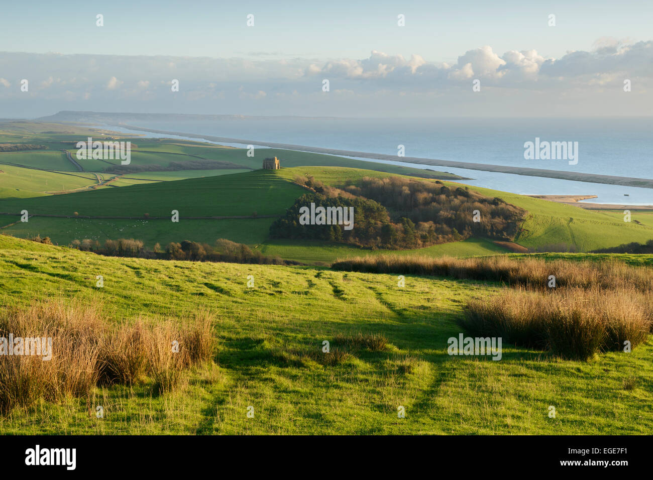 View towards St Catherine's Chapel which sits on a hill overlooking Abbotsbury and the Dorset coastline. Stock Photo