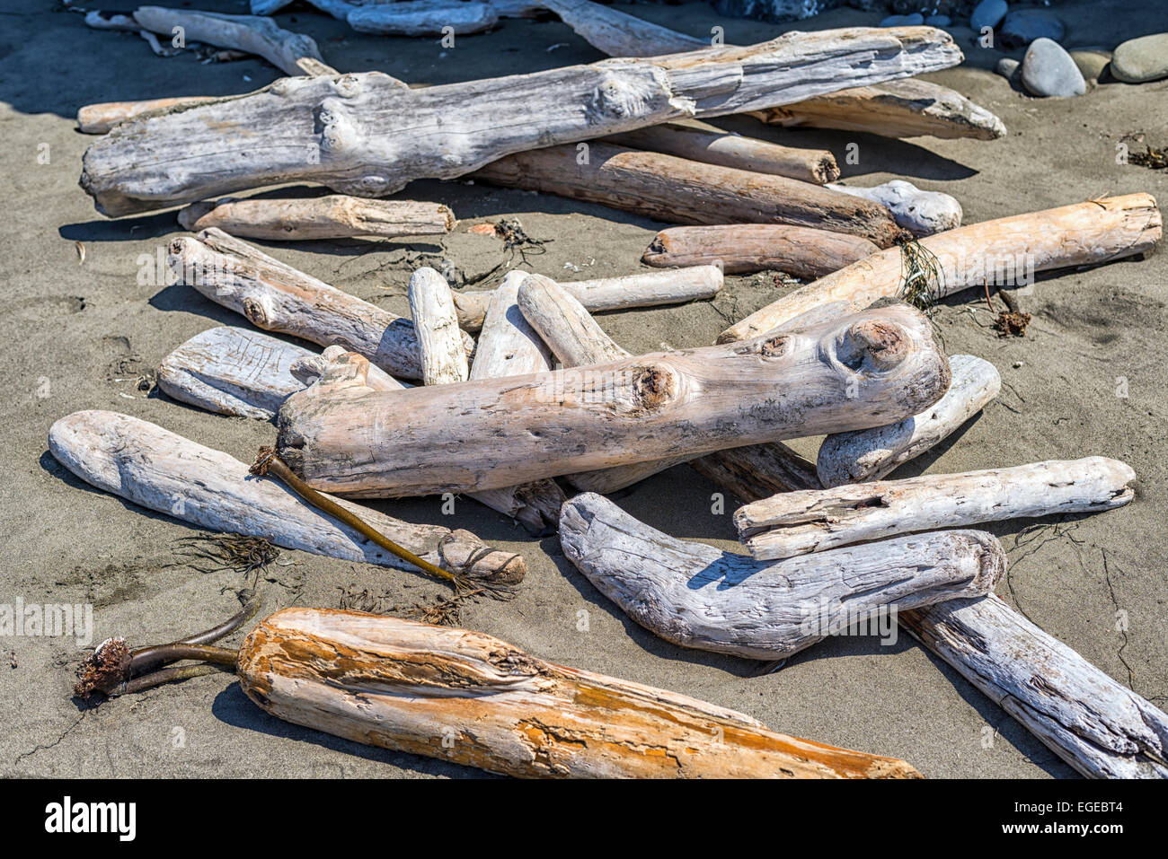 Driftwood on Hidden Beach. Northern California, United States Stock