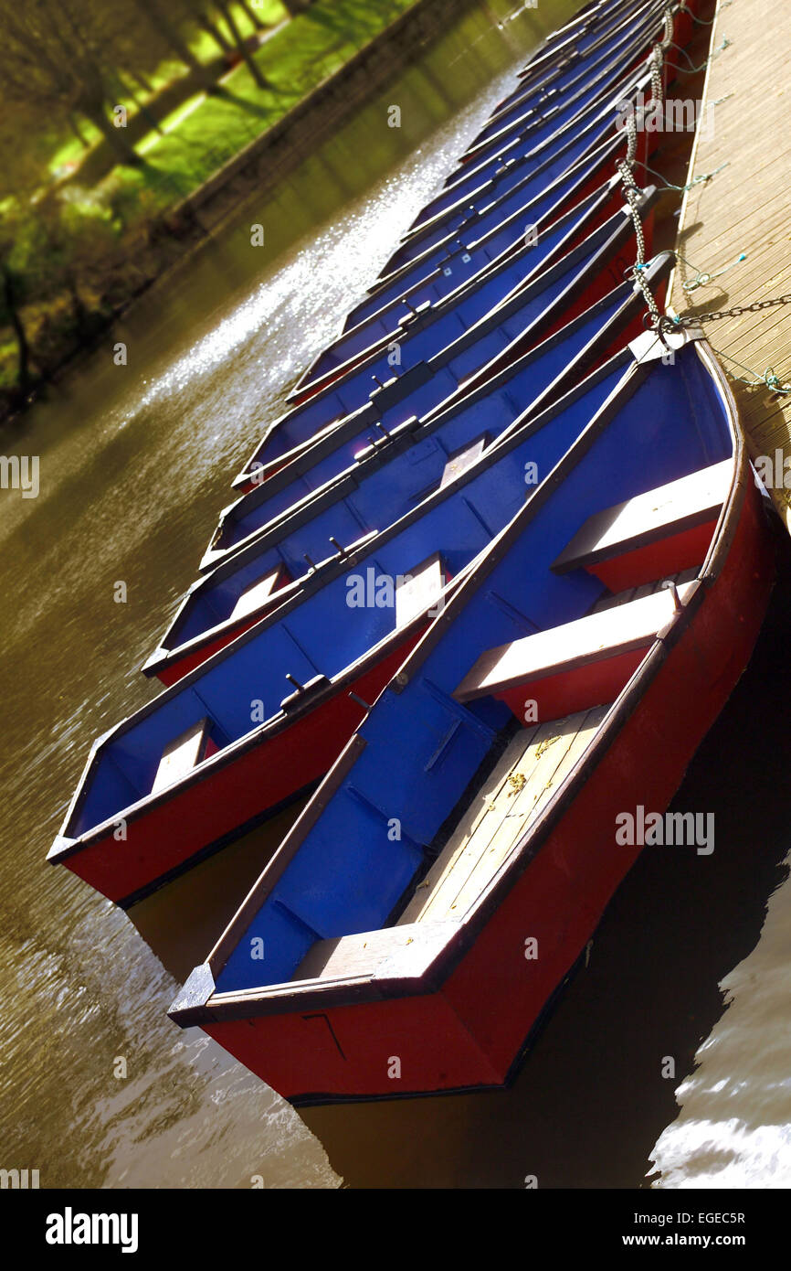 Rowing boats on the River Wansbeck Morpeth Northumberland Stock Photo
