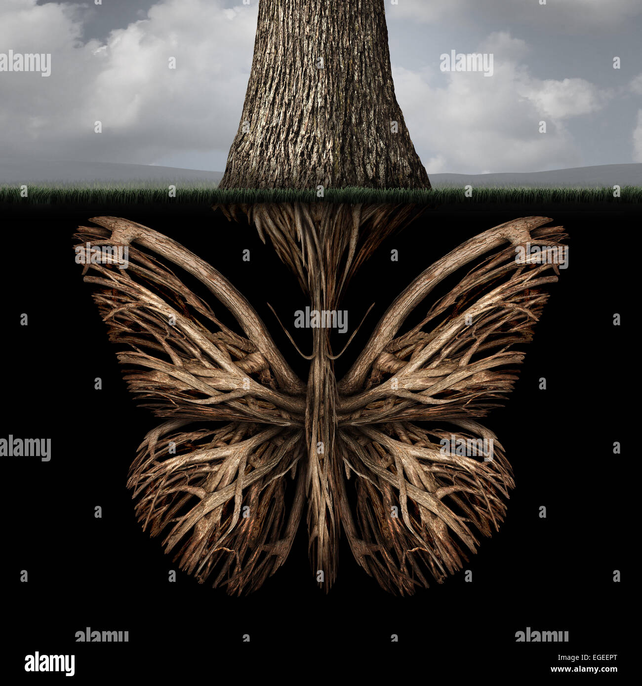 Creative roots concept as a tree with a root shaped as a butterfly as a powerful environmental metaphor or symbol for inner thoughts and strong creativity foundation. Stock Photo