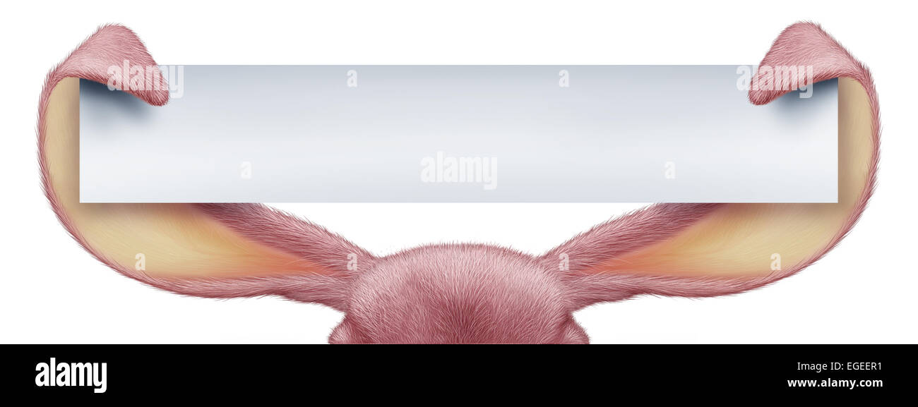 Easter rabbit horizontal sign as pink ears holding a long banner card with detailed textured realistic fur as a fun spring symbol of holiday celebration as an advertising message on a white background. Stock Photo