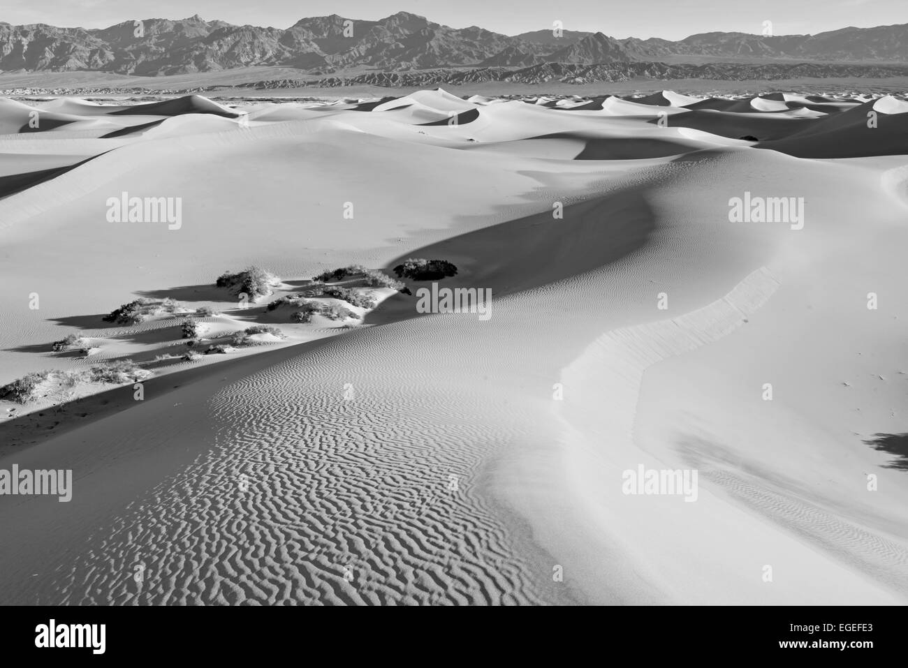Shadows and ripples in sand dunes Stock Photo - Alamy