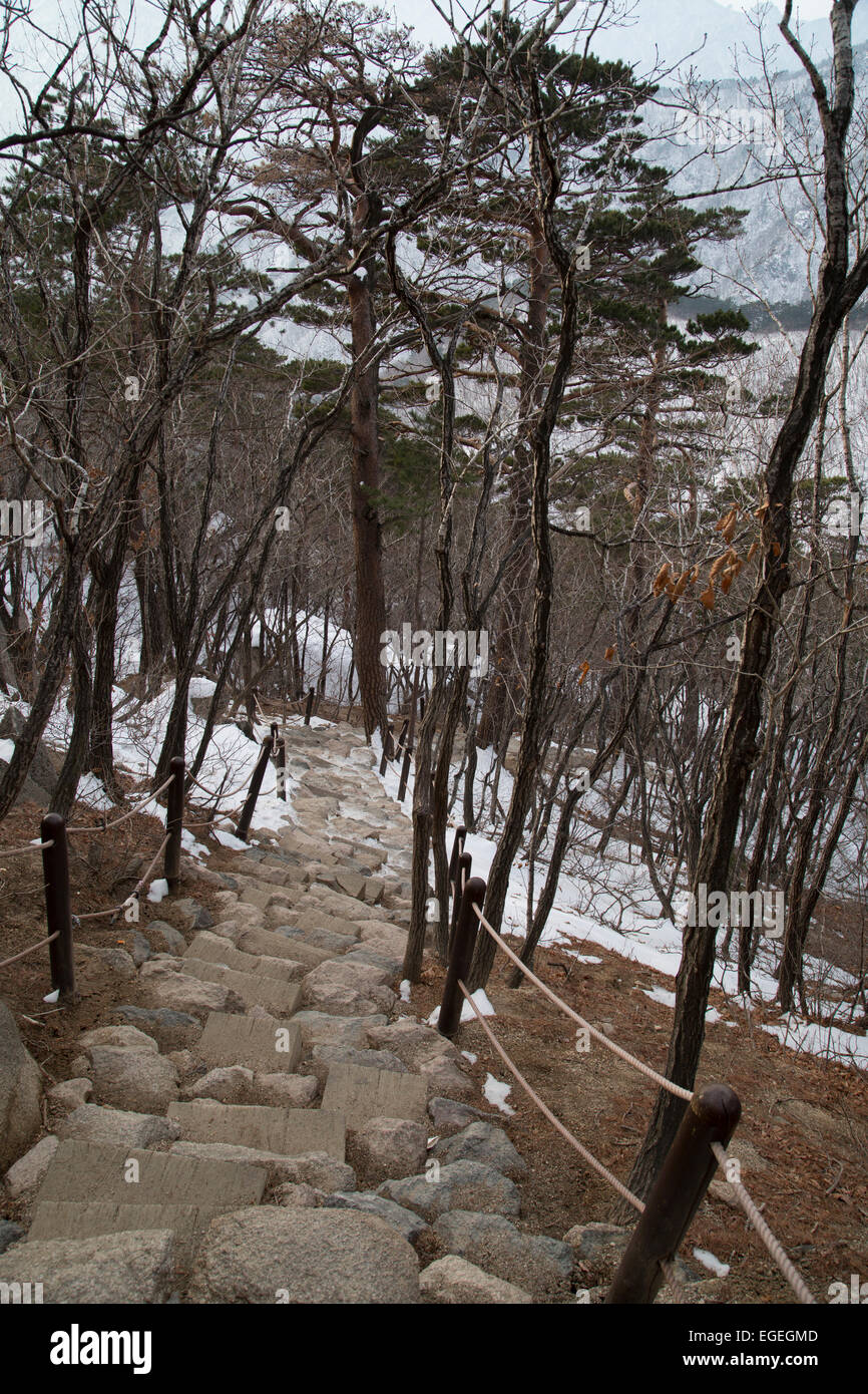 winter in sokcho winter in sokcho