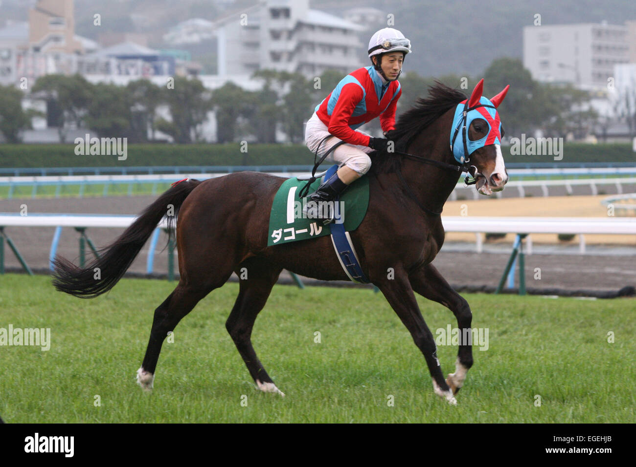 Fukuoka, Japan. 22nd Feb, 2015. D'accord (Yusuke Fujioka) Horse Racing