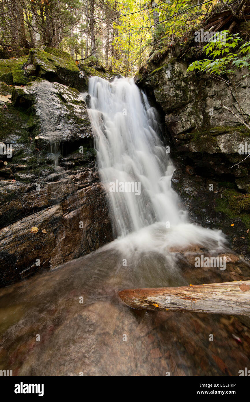 Unnamed waterfall near Indian Brook, Nova Scotia, Maritime Provinces, Canada Stock Photo