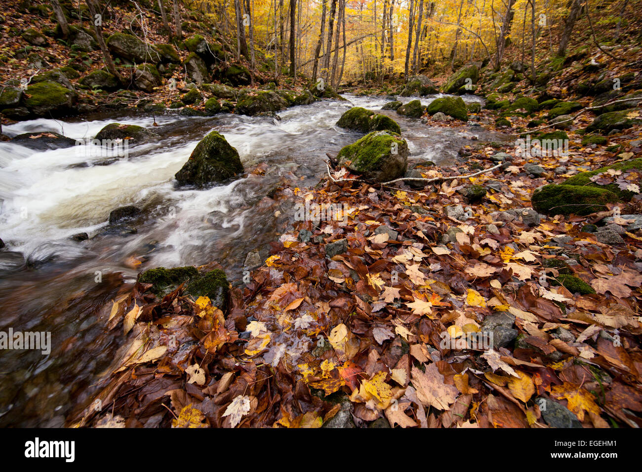 Fall colors in Uisge Bahn Falls Provincial Park, Nova Scotia, Canada