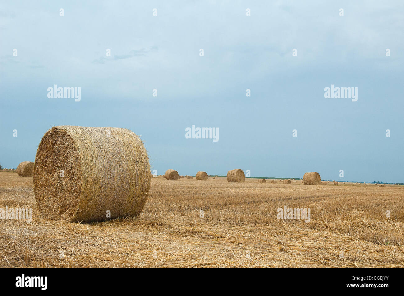 Straw bales on farmland with blue sky Stock Photo - Alamy