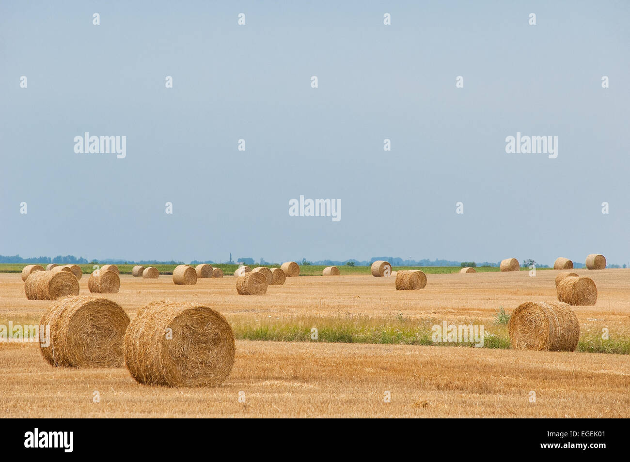 Straw bales on farmland with blue sky Stock Photo - Alamy