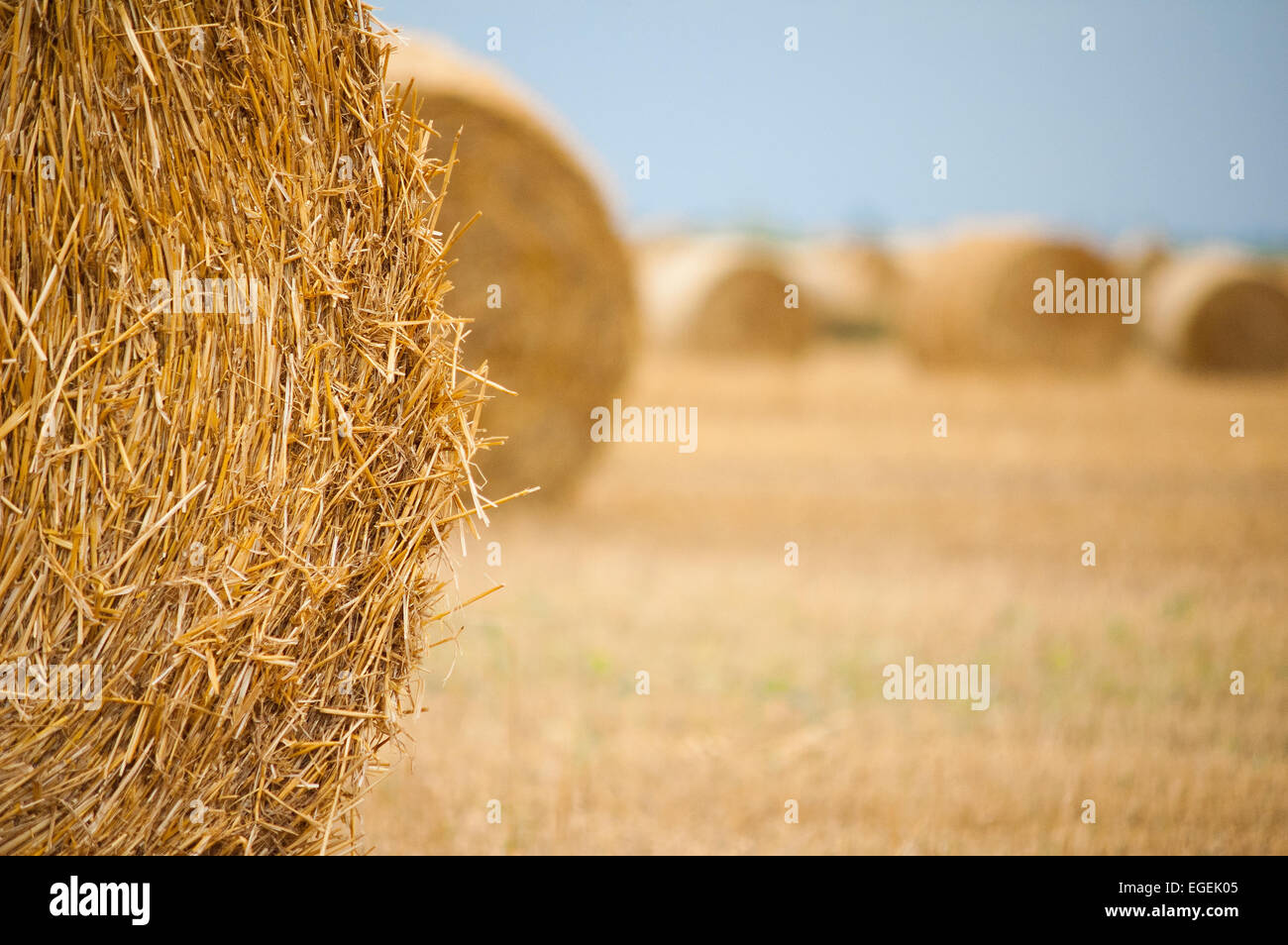 Straw bales on farmland with blue sky Stock Photo - Alamy