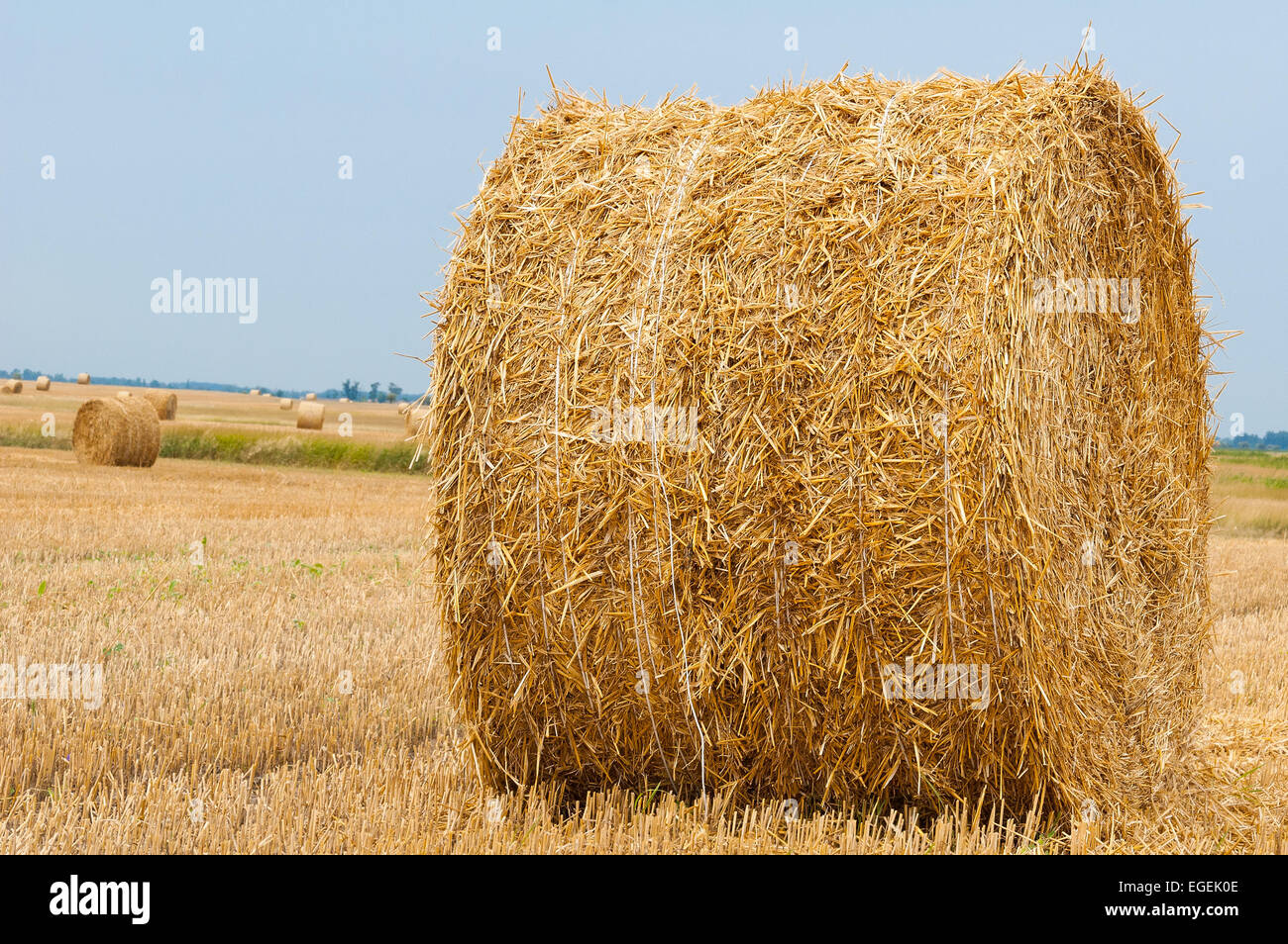Straw bales on farmland with blue sky Stock Photo - Alamy