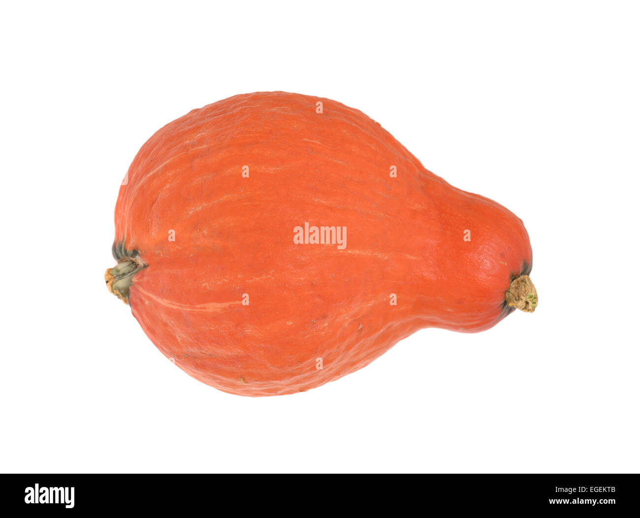 Orange Pumpkin Isolated on White Background Stock Photo - Alamy