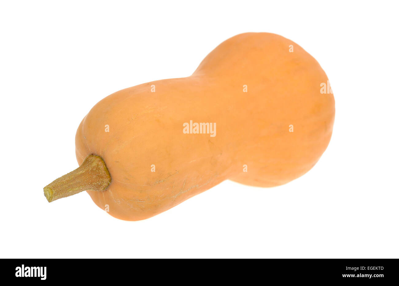 Orange Pumpkin Isolated on White Background Stock Photo - Alamy