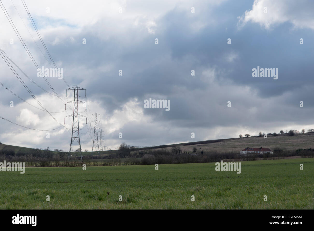 Electricity pylons crossing the rural landscape at Fishers Green, Essex Stock Photo