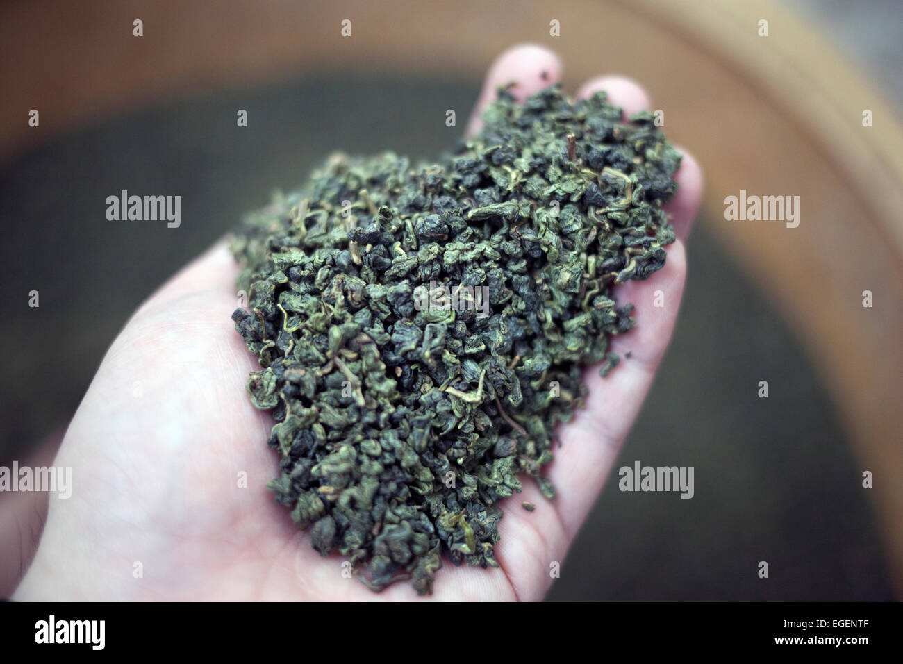 Handful of Dried Oolong Tea from Taiwan Stock Photo