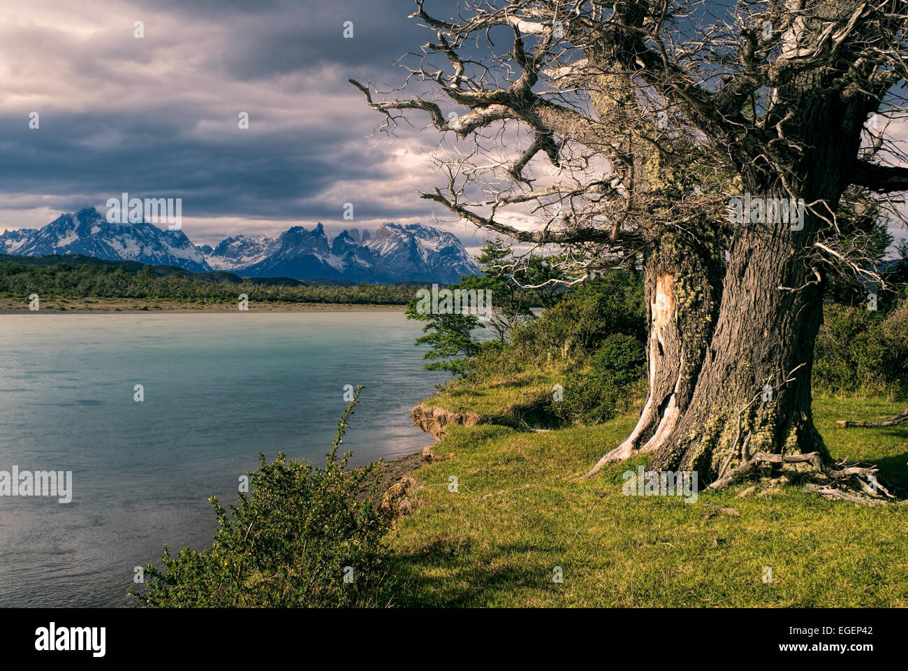 National park in Chile, Torres del Paine Stock Photo