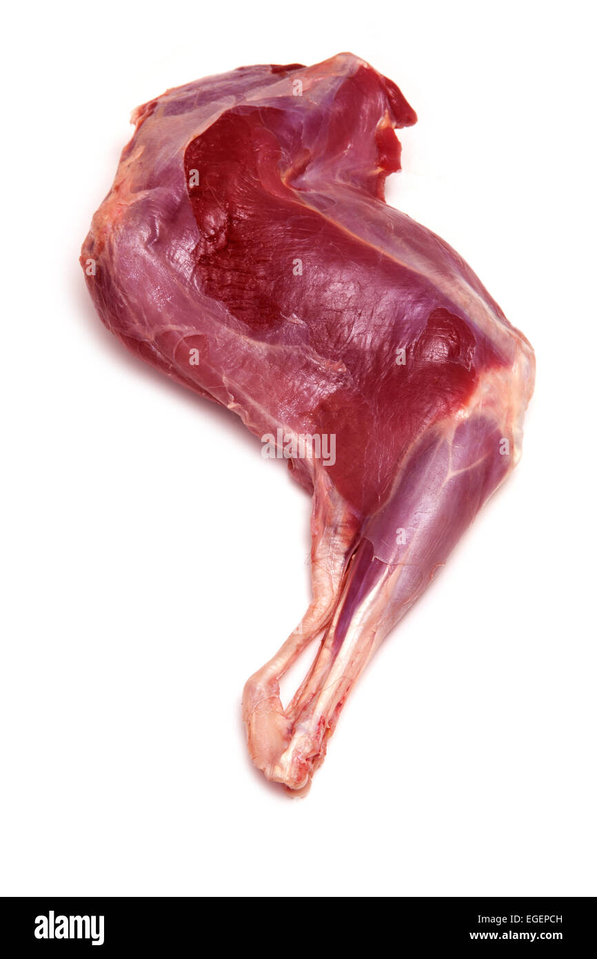 Haunch or leg or raw venison meat isolated on a white studio background. Stock Photo