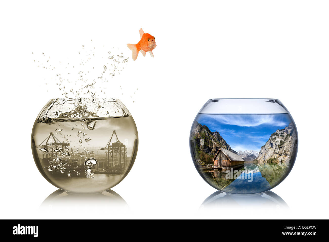 fish rethink and change concept Stock Photo
